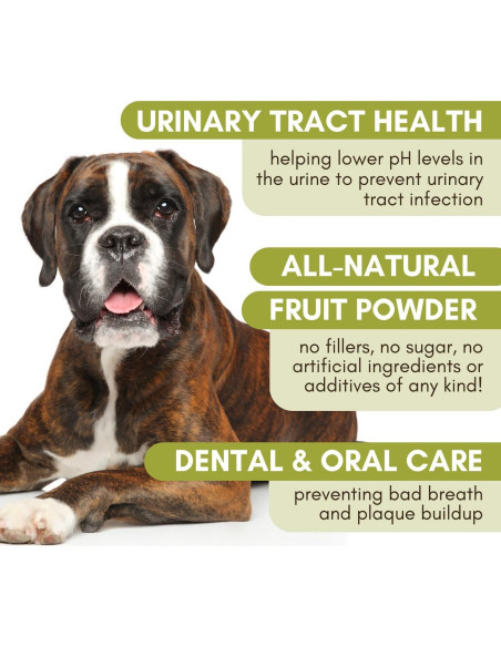 Suplemento de Arándano Orgánico Wholistic WholeCran 28.35g