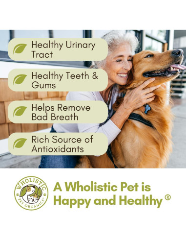 Suplemento de Arándano Orgánico Wholistic WholeCran 28.35g