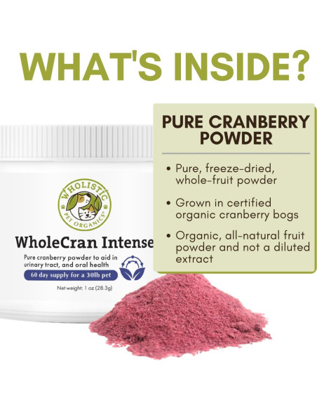 Suplemento de Arándano Orgánico Wholistic WholeCran 28.35g