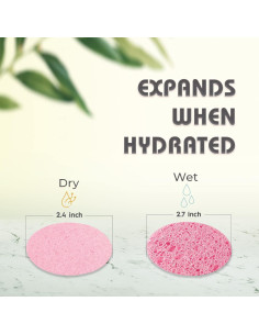 Esponjas Faciales Comprimidas Miaform 60 Unidades Rosa 2