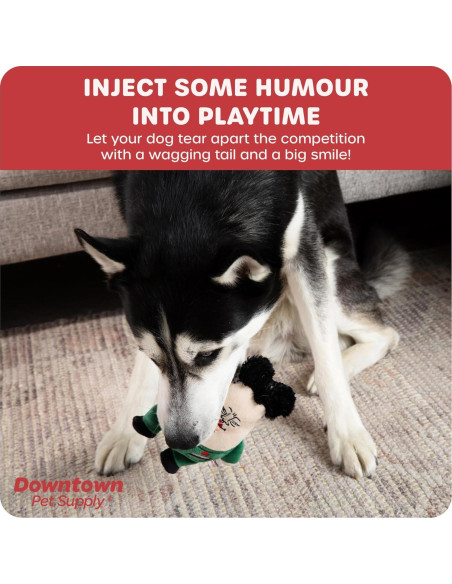 Juguete Político para Perros Downtown Pet Supply Supreme Leasher