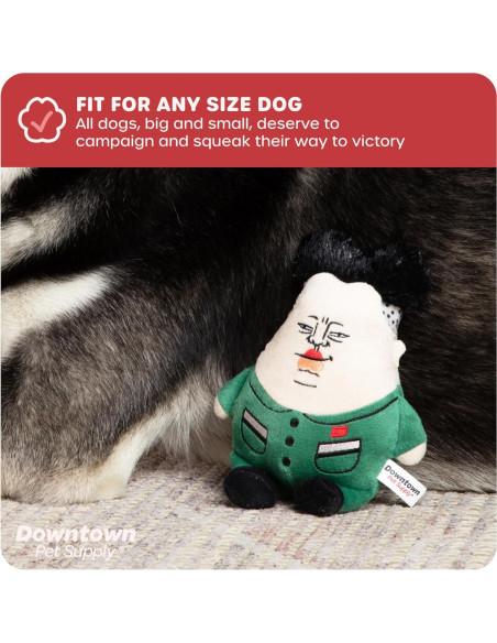 Juguete Político para Perros Downtown Pet Supply Supreme Leasher