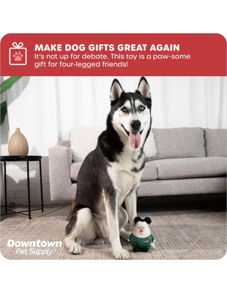 Juguete Político para Perros Downtown Pet Supply Supreme Leasher