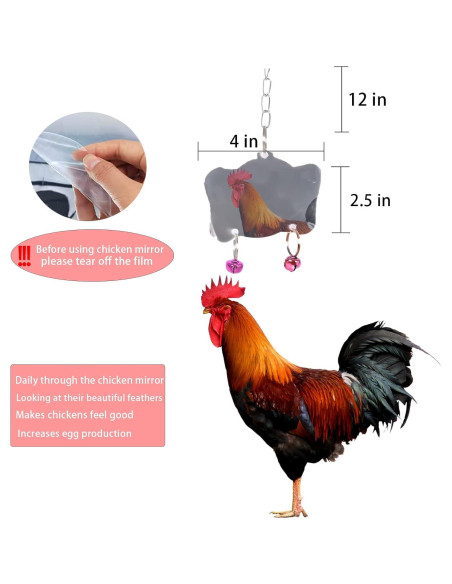 8 Juguetes para Pollos CHNB - Columpio, Xilófono, Espejo y Más