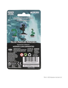 Miniaturas D&D WizKids Hechicera Oscura y Calaveras de Llama 2