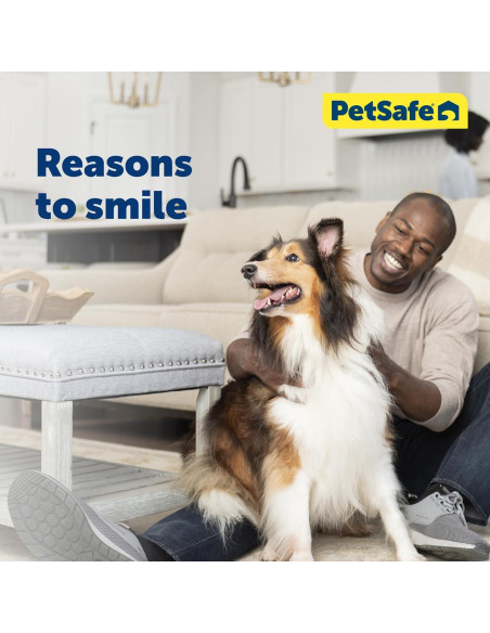 Cubierta de Puerta para Mascotas PetSafe Pequeña - Plástico Duradero