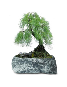 Maceta de Concreto Dahlia Irregular 20x10x8 cm con Drenaje