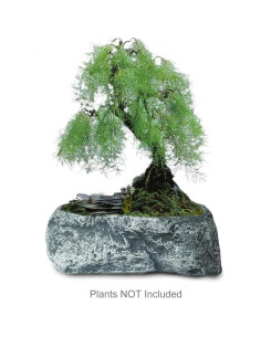 Maceta de Concreto Dahlia Irregular 20x10x8 cm con Drenaje 2