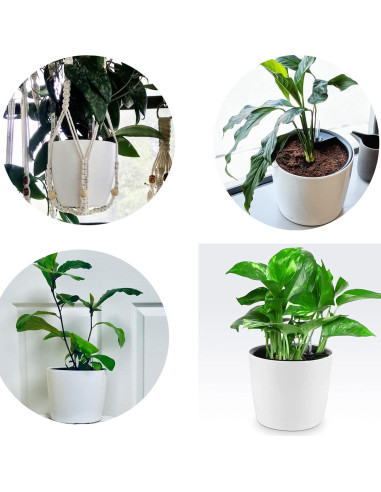 Paquete de 5 macetas autorriego HEIHAK 17.78 cm blancas