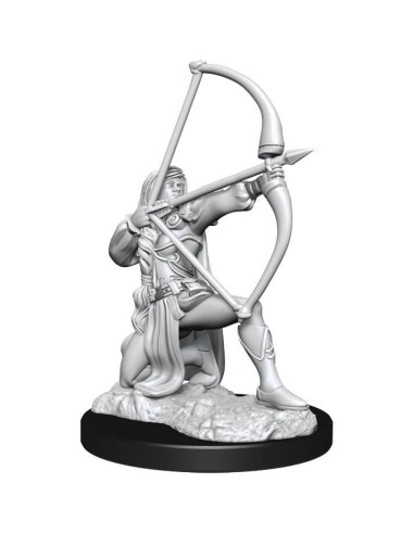 Miniatura Sin Pintar Guerrera Humana WizKids Pathfinder