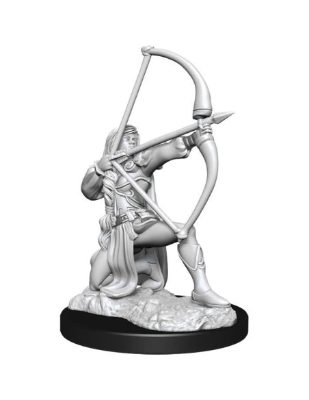 Miniatura Sin Pintar Guerrera Humana WizKids Pathfinder Miniatura Sin Pintar Guerrera Humana WizKids Pathfinder