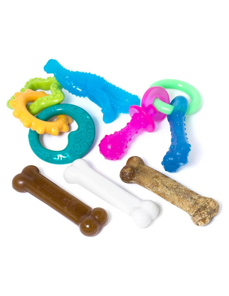 Kit de Inicio para Cachorros Nylabone - 6 Juguetes y Golosina