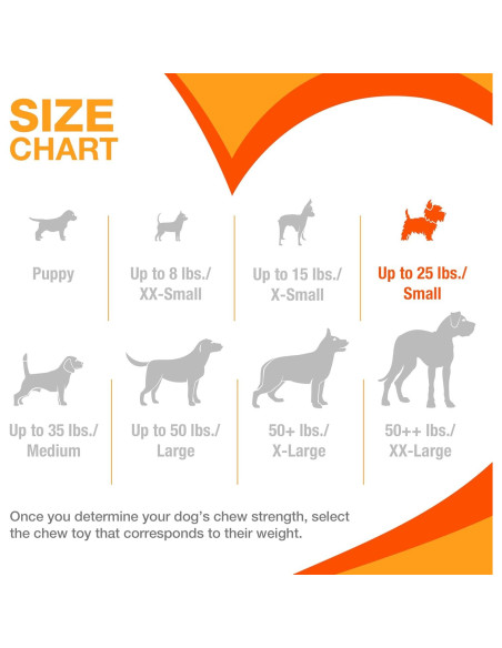 Kit de Inicio para Cachorros Nylabone - 6 Juguetes y Golosina