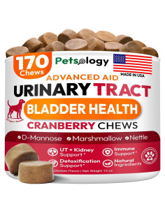 Galletas para Perros Petsology - Soporte Urinario Arándano 170 Unidades