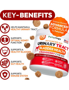 Galletas para Perros Petsology - Soporte Urinario Arándano 170 Unidades 2