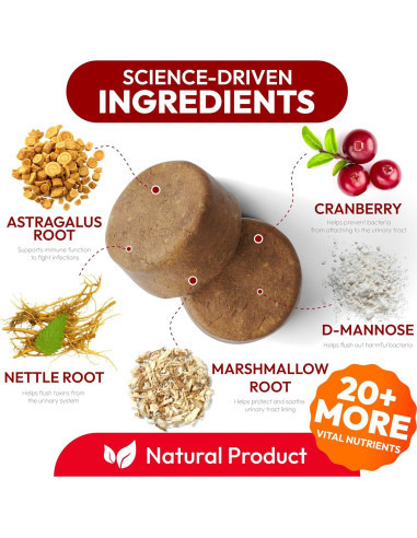 Galletas para Perros Petsology - Soporte Urinario Arándano 170 Unidades