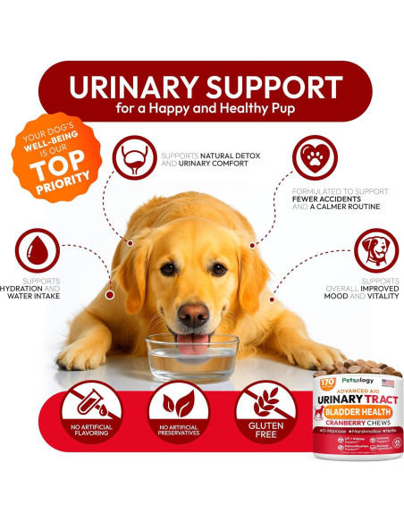 Galletas para Perros Petsology - Soporte Urinario Arándano 170 Unidades