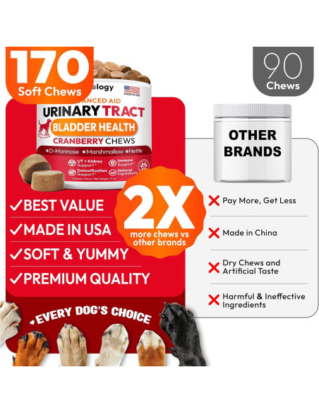 Galletas para Perros Petsology - Soporte Urinario Arándano 170 Unidades