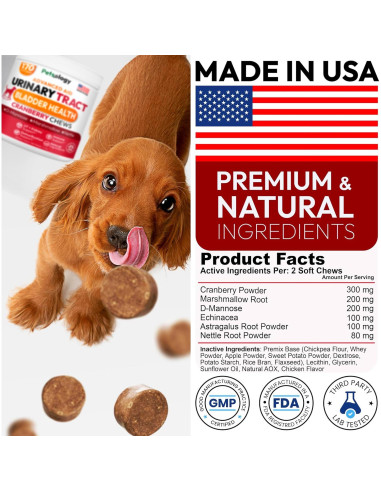 Galletas para Perros Petsology - Soporte Urinario Arándano 170 Unidades