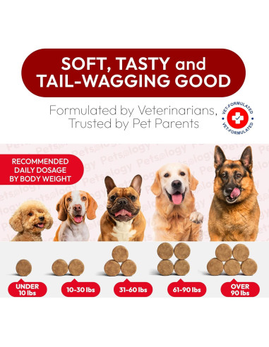 Galletas para Perros Petsology - Soporte Urinario Arándano 170 Unidades