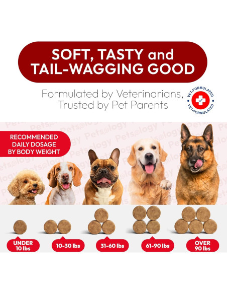 Galletas para Perros Petsology - Soporte Urinario Arándano 170 Unidades