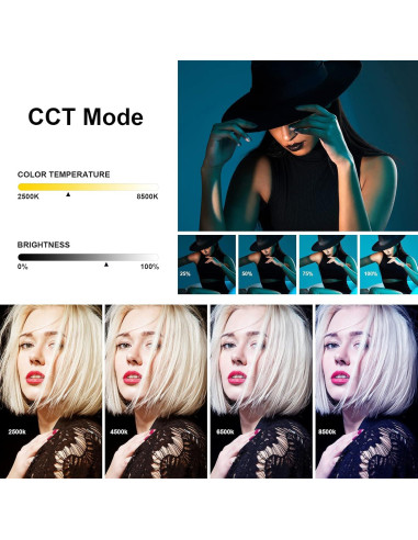 Godox LC500R Luz LED RGB Portátil 2500K-8500K con Control Remoto