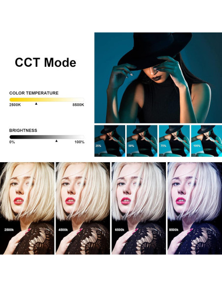 Godox LC500R Luz LED RGB Portátil 2500K-8500K con Control Remoto Godox LC500R Luz LED RGB Portátil 2500K-8500K con Control Remoto