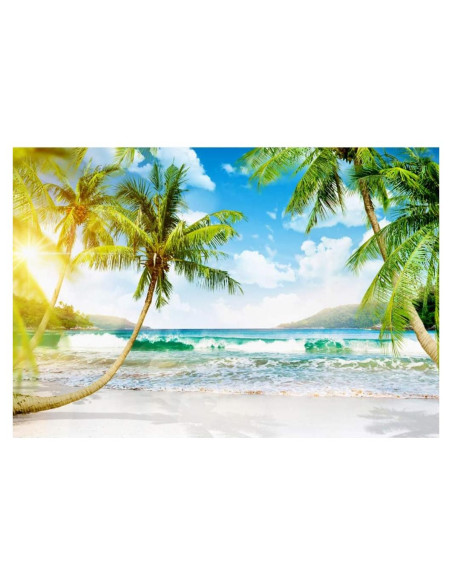 Fondo Fotográfico Vinilo Haoyiyi 250x180cm Playa Tropical