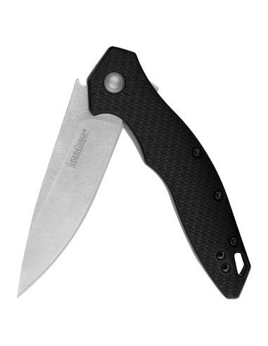 Cuchillo de bolsillo Kershaw Shoreline 18.03 cm negro