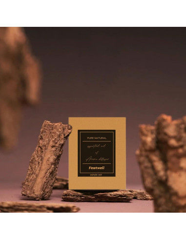 Ambientador de Auto Featwell con 6 Aceites Esenciales 10ml