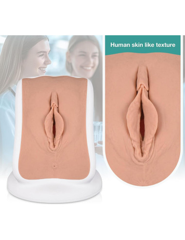 Modelo Anatómico de Salud Pélvica MedEduQuest - Entrenamiento Ginecológico