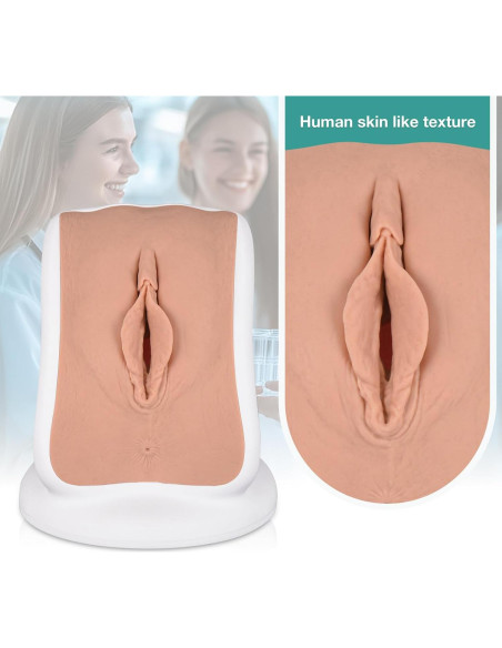 Modelo Anatómico de Salud Pélvica MedEduQuest - Entrenamiento Ginecológico