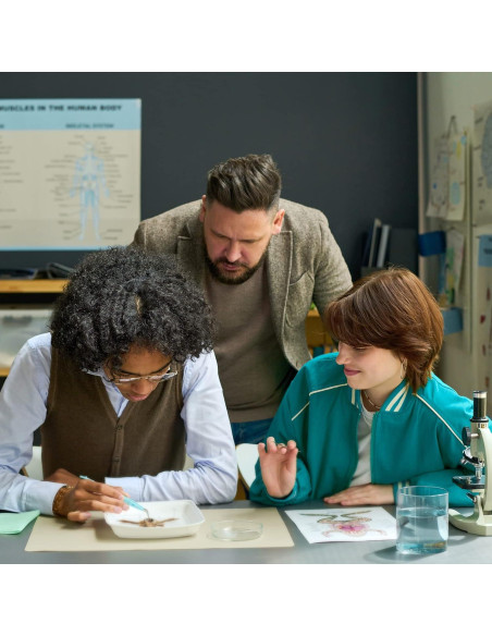 Póster de Anatomía del Cerebro Humano Laminado 43.9x57.2cm