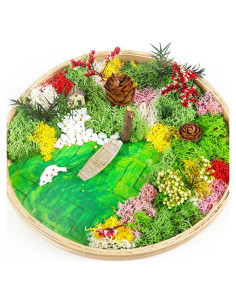 Kit de Jardín Zen Woohome para Escritorio - Pintura de Musgo DIY