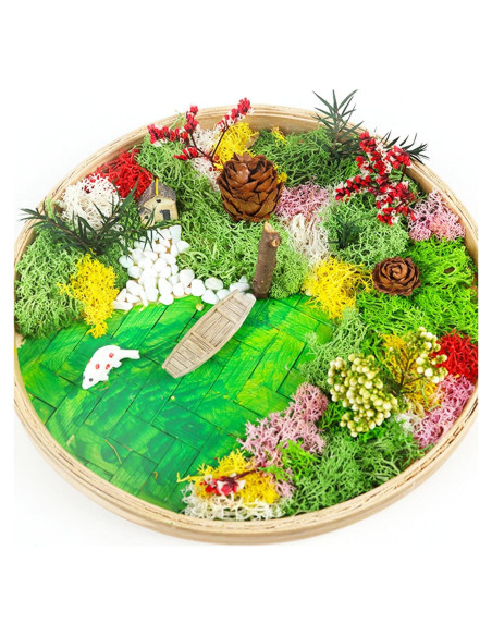 Kit de Jardín Zen Woohome para Escritorio - Pintura de Musgo DIY