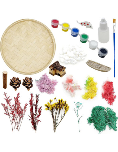 Kit de Jardín Zen Woohome para Escritorio - Pintura de Musgo DIY