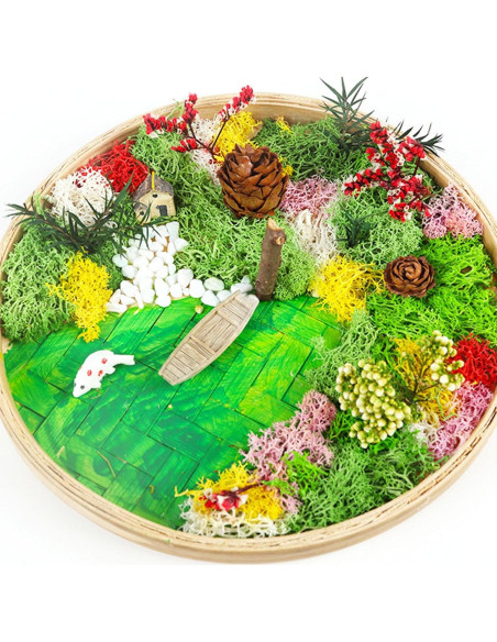 Kit de Jardín Zen Woohome para Escritorio - Pintura de Musgo DIY