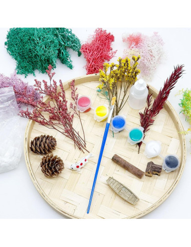 Kit de Jardín Zen Woohome para Escritorio - Pintura de Musgo DIY