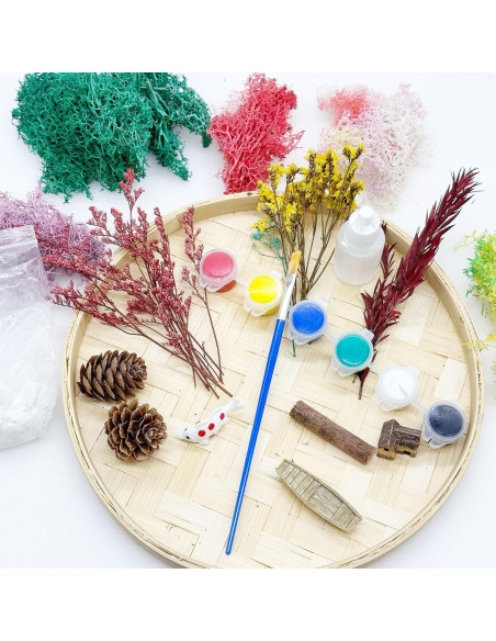 Kit de Jardín Zen Woohome para Escritorio - Pintura de Musgo DIY