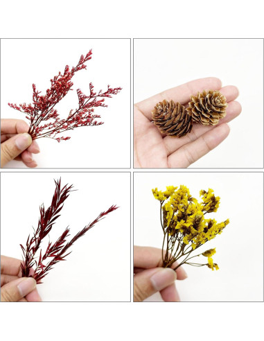 Kit de Jardín Zen Woohome para Escritorio - Pintura de Musgo DIY