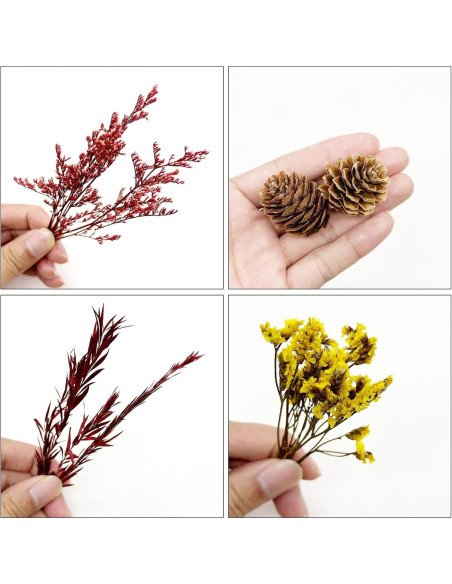 Kit de Jardín Zen Woohome para Escritorio - Pintura de Musgo DIY