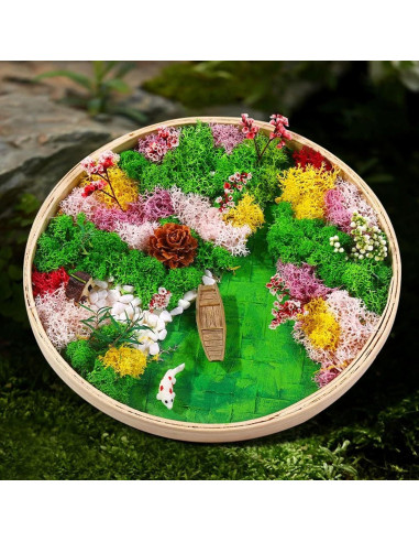 Kit de Jardín Zen Woohome para Escritorio - Pintura de Musgo DIY