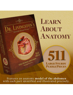 Rompecabezas de Anatomía Humana Genius Games - Abdomen 0.55 kg 2