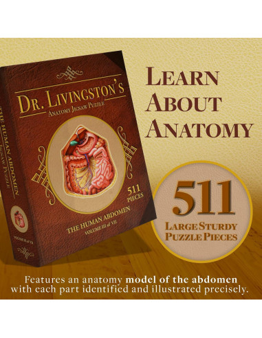 Rompecabezas de Anatomía Humana Genius Games - Abdomen 0.55 kg