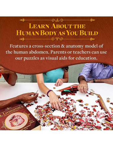 Rompecabezas de Anatomía Humana Genius Games - Abdomen 0.55 kg