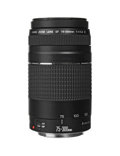 Lente Canon EF 75-300mm f/4-5.6 III + Filtro UV 58mm + Accesorios 2