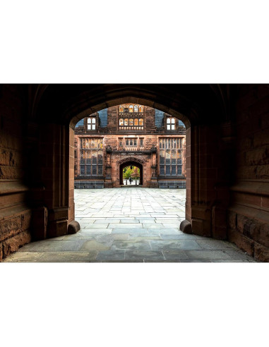 Lente Sigma 16mm F1.4 DC DN para montura RF - Negro