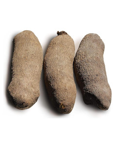 Ñame Africano Fresco 4.54 kg - Tubérculo de Ghana