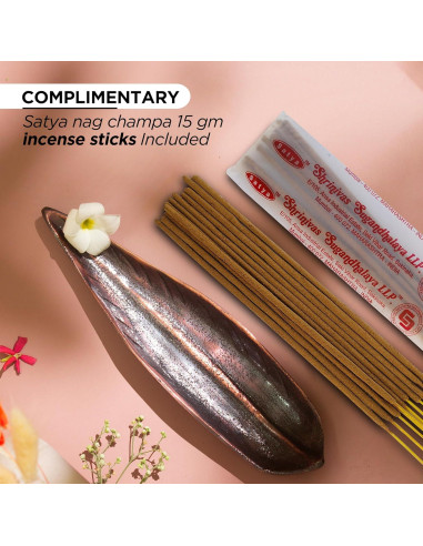 Soporte de Incienso Raajsee Hoja Curva con Varitas Nag Champa 15g