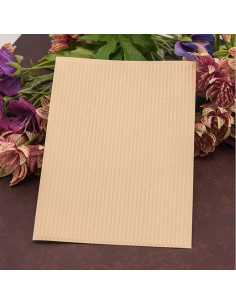 Carpeta de Embossing PUPUZAO Plástico 10.5x14.6 cm Rayas 2